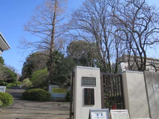 小石川植物園