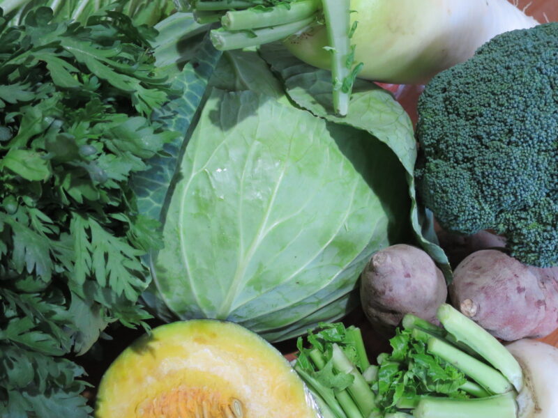 冬野菜